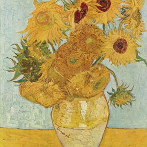 Tour de los museos: Van Gogh y Rijksmuseum