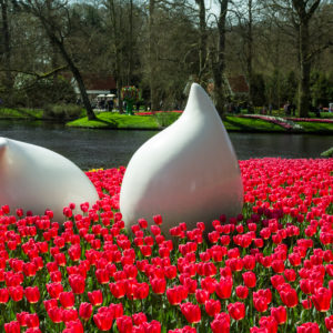 Keukenhof