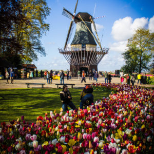 Private Tour to Keukenhof from Amsterdam